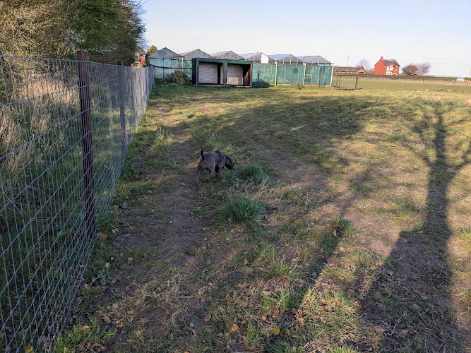 Julie's Dog Walking Field in Preston