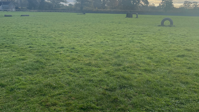 Jump and Go Dog Fields, Templecombe in Somerset