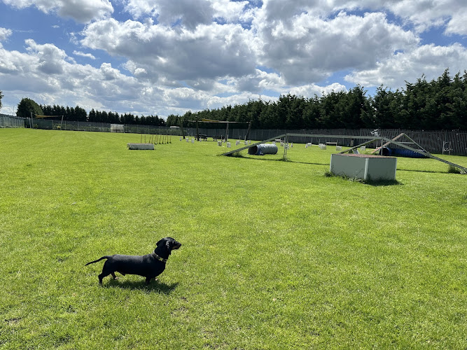 K9 Academy Secure Dog Field, Peterborough in Cambridgeshire