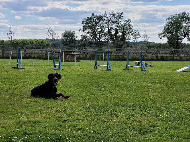 K9 Country Club, Gaddesby in Leicestershire