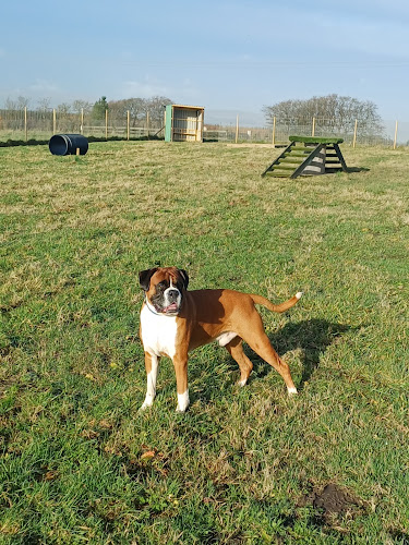 K9 Fun Park, Eaglesham in Airdrie