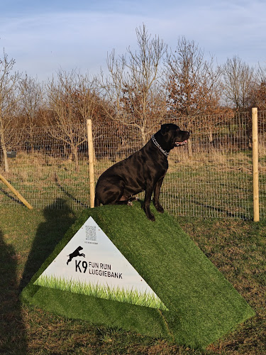 K9 Fun Run Luggiebank in Airdrie