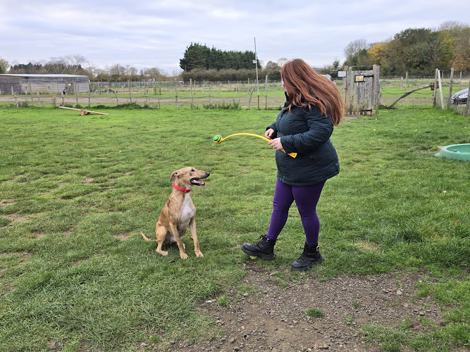 K9 Park and Play, Baldock in Welwyn Garden City
