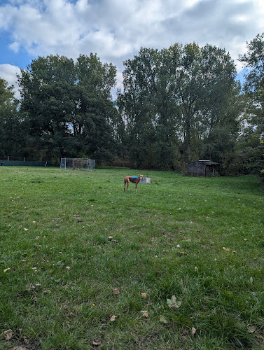 K9 Pleasure Park, Dog Field, Spencers Wood in Wokingham