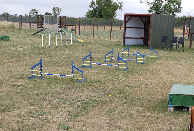 Kings Ripton Dog Enclosures, Huntingdon in Cambridgeshire