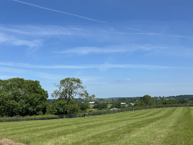 Langley Dog Park, Kirk Langley in Derbyshire
