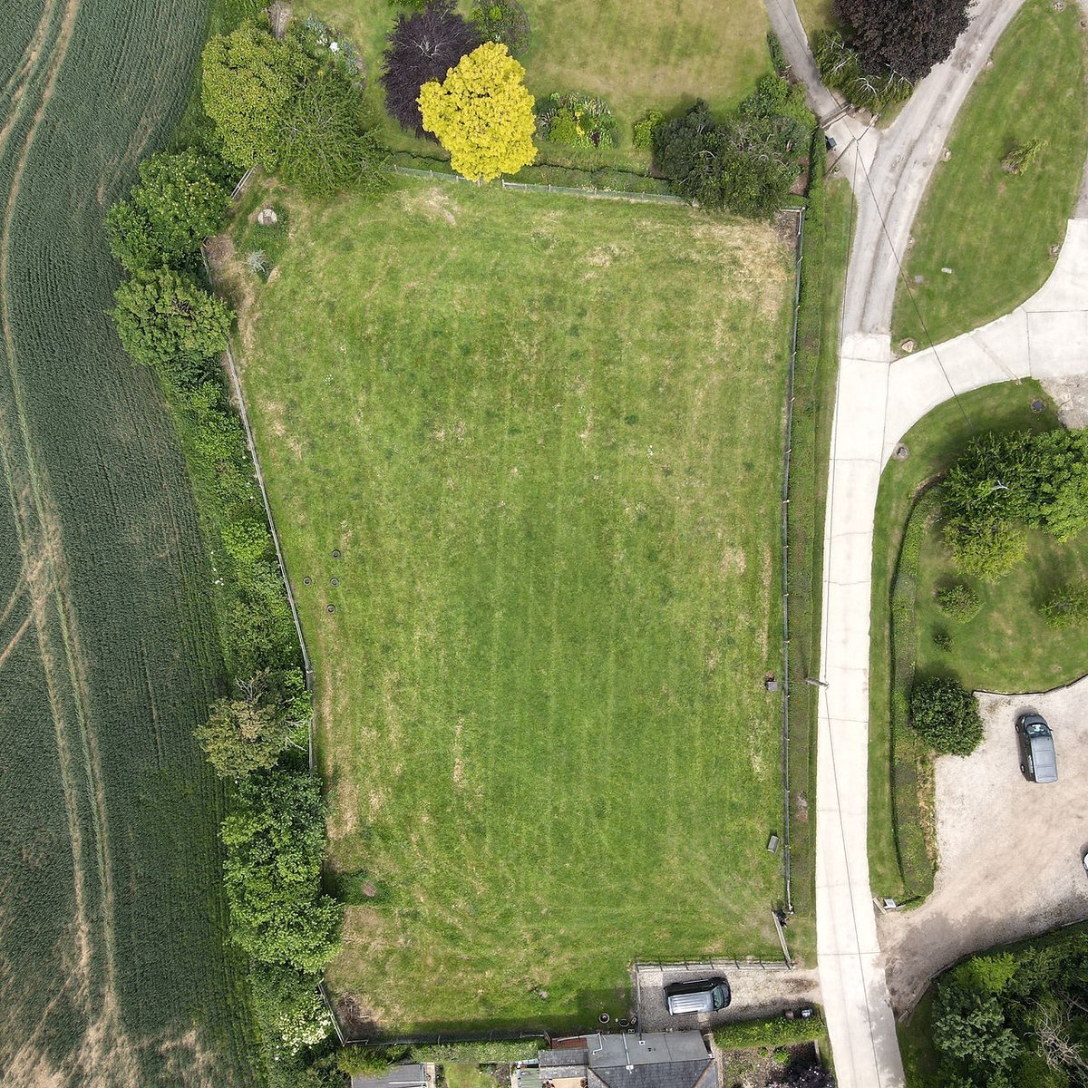 Lawn Pasture Dog Field, Chelmsford in Chelmsford