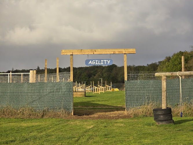 Let ‘Em Aff Dog Field, Ellon in Aberdeenshire