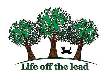 Life of the lead Dog Field, Fenhurst in West Sussex