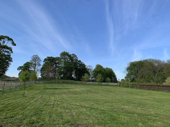 Limber Dog Park Ltd in Grimsby