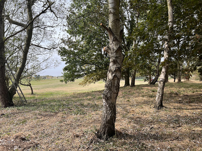 Linley Hill Dog Fields in Hull