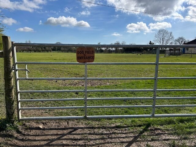 Little Paddocks Dog Field, Great Steeping in Lincolnshire