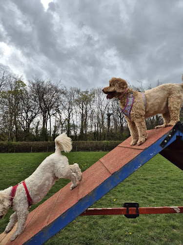 Long Meadow Dog Fields, Shirenewton in Monmouthshire