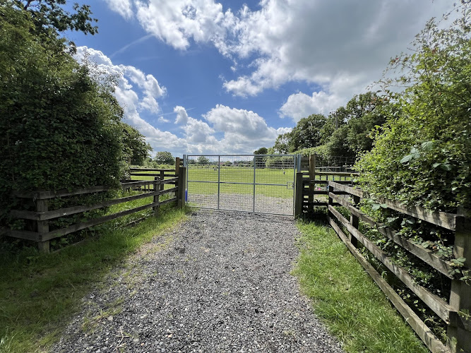 Lovehurst Paddock Dog Exercise Field in Tonbridge