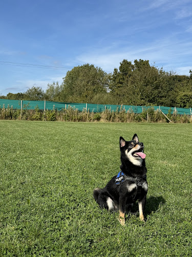 Lowfield Meadow, Dog Field, Monk Fryston in North Yorkshire