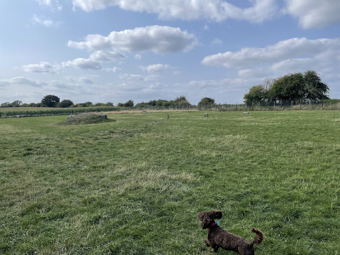 Maddy’s Mutts in Nottingham