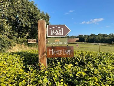 Manor Fields Dog Park, Southampton - Hawthorn Field in Hampshire