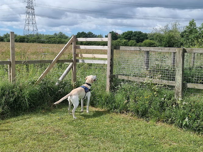 Micklehead Dog Run (Dog Fields), St Helens in St Helens
