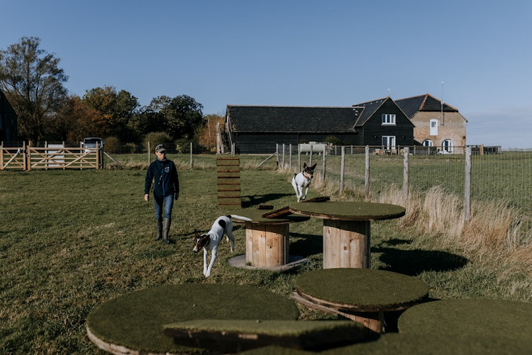 Mocketts Dog Field, Isle of Sheppey in Kent