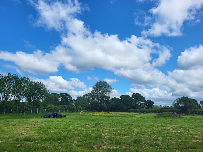 Mollys Mates Family Dog Park in Exeter