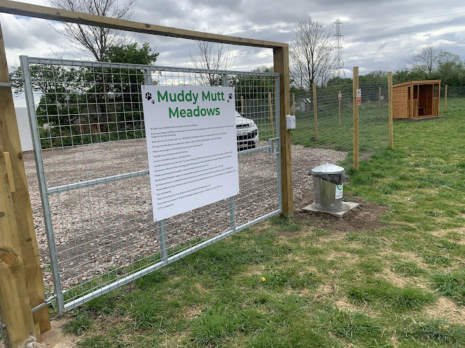 Muddy mutt meadows in Liverpool