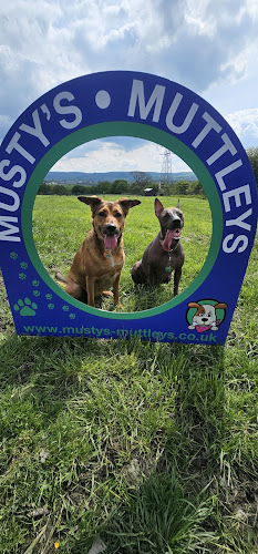 Musty’s Muttleys Meadow Dog Field, Burnley in Lancashire