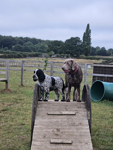 Mutts Go Nutts Dog Field, Walesby in Mansfield