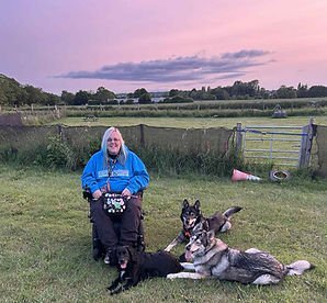 Mutts & Mischief Holistic Education and Behaviour Services in Lincoln