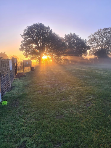Muttz Freedom Field in Norwich