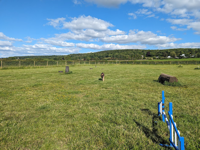 Nailsea & Backwell Secure Dog Field in Bristol