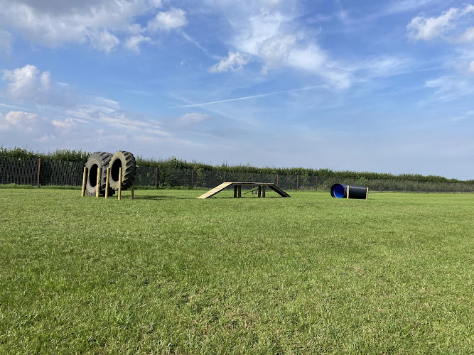 Near Ings Secure Dog Walking Field in Beverley