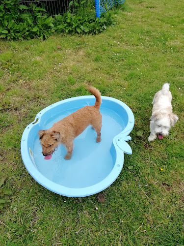 Newfield dogrun in Ayr