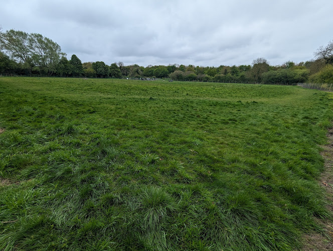 Newton Farms Dog Fields, Swaffham Prior in Cambridgeshire