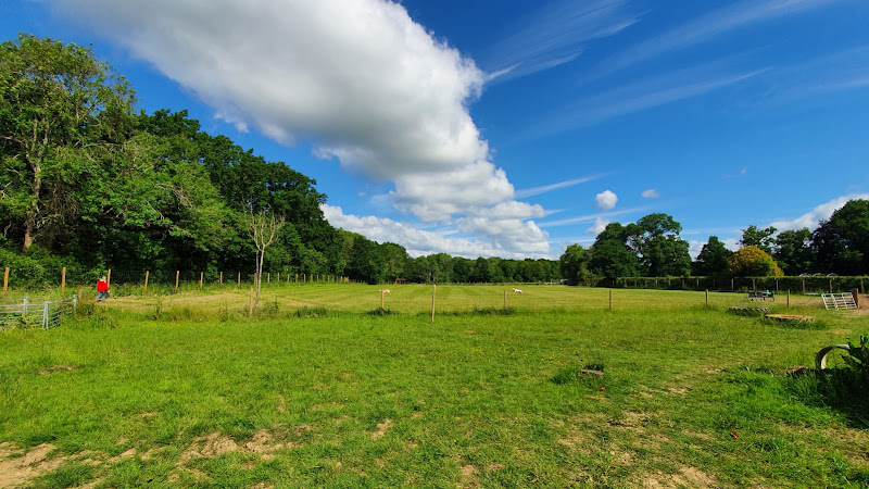 Northlands Meadows Dog Field, Horley in Mole Valley