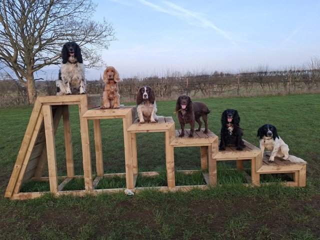 Oaklands Dog Field, Bloxham in Oxfordshire