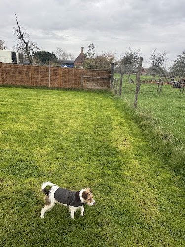 Off The Leash at Headcorn Place in Ashford