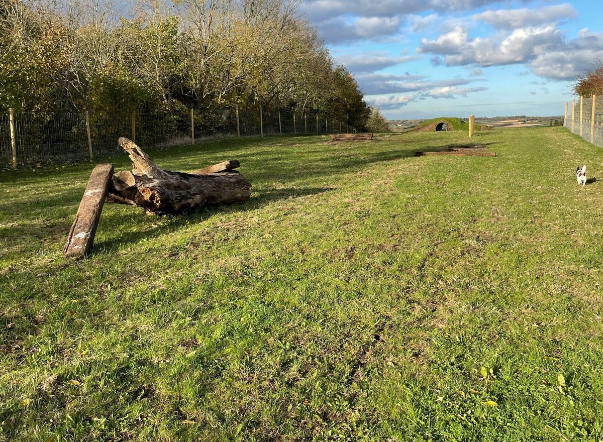 Oh My Dog Freedom Field, Cotgrave in Nottinghamshire