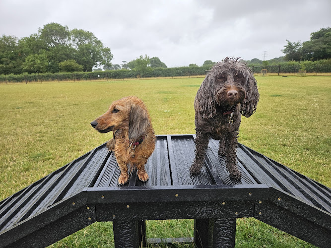 Oulton Dog Park, Oulton in Suffolk