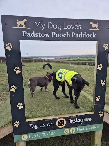 Padstow Pooch Paddock, Padstow in Wadebridge
