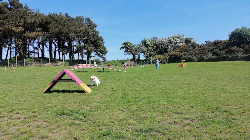 Pampered Pets Dog Park, Newtownards in Ards and North Down