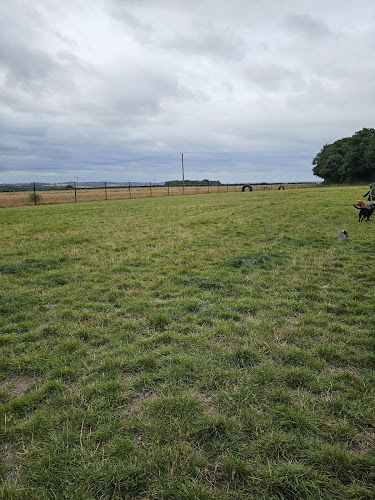 Papplewick Paws Secure Dog Field-Nottingham in Nottingham