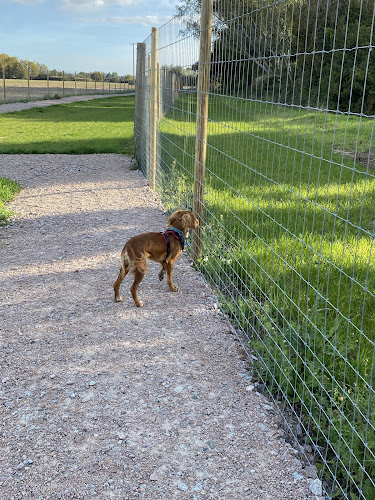 Paw Paddock, Dog Field, Shripney in Bognor Regis