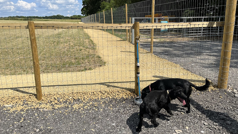Paw Paddock Dog Field, Upham in Winchester