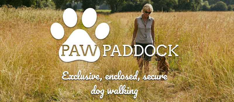 Paw Paddock - Donnington in Chichester