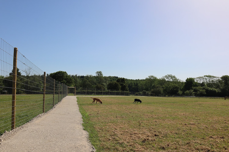 Paw Paddock - Kingscote in East Grinstead