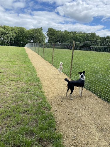 Paw Paddock - Secure Dog Field Moundsmere in Hampshire