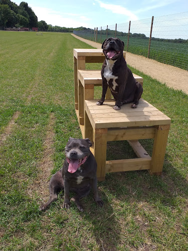 Paw Paddock - Secure Dog Field Wickham in Hampshire