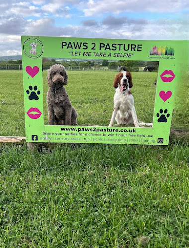Paws 2 Pasture, Belton in Loughborough