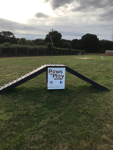 Paws 4 Play, Dog Field, Cullompton in Devon