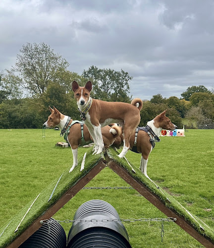 Paws Playfield Dog Field, Datchworth in Hertfordshire
